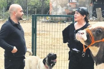  Sezen Aksu, kanser olduğu için ölüme terk edilen bir ata sahip çıktı 