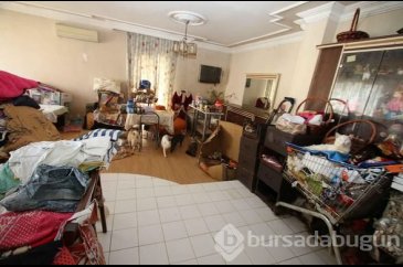 Bir evden 47 kedi, 6 köpek ve 1 kaplumbağa çıktı
