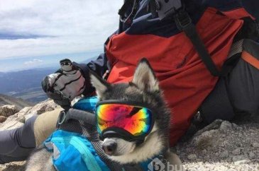 Günün en çok paylaşılan fotoğrafları (10.04.2019)