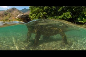 Turistlerin bu adaya girmesi yasaklandı!