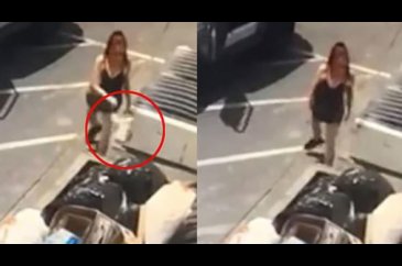 İnsanlık dışı olay: Köpek yavrulaını canlı canlı çöpe attı!
