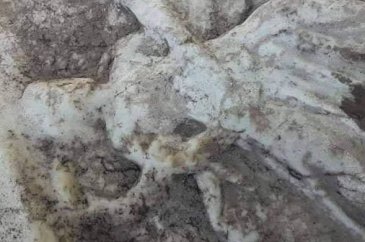 Kanalizasyondan tarih çıktı! 2 bin yıllık...
