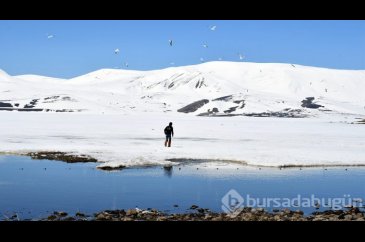 Doğu Anadolu'nun saklı cennetinde "beyaz" güzellik
