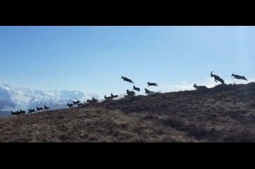  Burası Erzincan... O an böyle görüntülendi! 