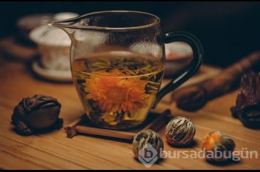  Hangi kokular iş yerinde verimliliği artırır? 