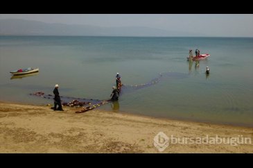  İznik Gölü'nde gümüş balığı bereketi 