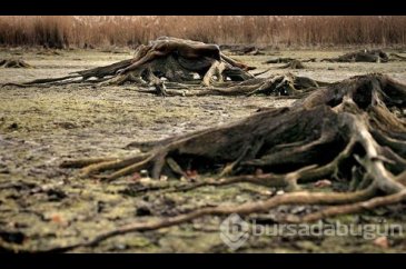 Fotoğraflardaki modelleri görebiliyor musunuz
