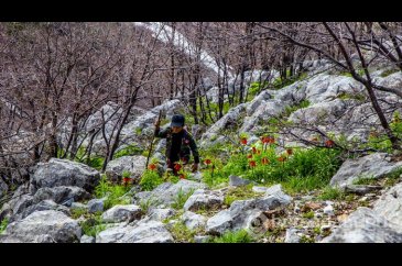 "Ağlayan gelin" fotoğraf tutkunlarının gözdesi
