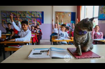 Öğrencilerin motivasyonu "Ateş" ile arttı
