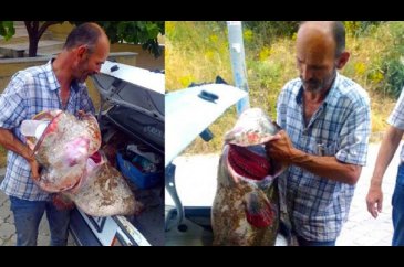 2 metre uzunluğunda, 40 kilo ağırlığında yayın balığı yakalandı