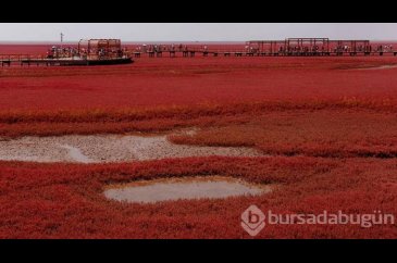 Görenleri şaşkına çeviren Kırmızı Plaj