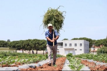 30 yıl önce 'uyutulan' tohumlar toprakla buluştu