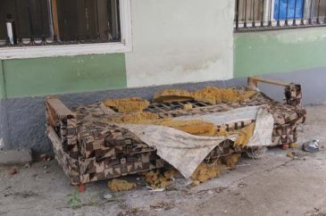 Köpeğin parçaladığı çekyattan çıktı!