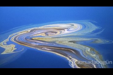 Afrika'nın gizemli gölü Natron