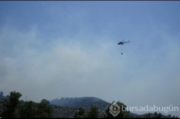 Balıkesir'de orman yangını
