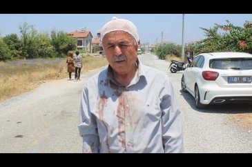 Yaşlı adama köpekler tarafından saldırı