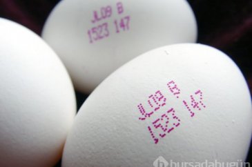yumurtaların üzerinde yazan kodların anlamları