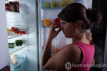 Buzdolabındaki kötü koku nasıl giderilir?