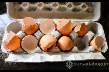 Çöp sanıp attıklarınız bakın ne işe yarıyor
