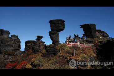 Dünya Mirası Listesi'ndeki dağ: Fanjingshan