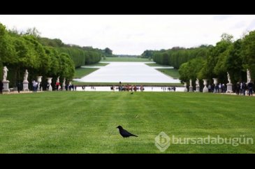Versailles Sarayı Bahçeleri