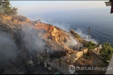 Antalya'da muzluk yangını (5 dönüm bahçe zarar gördü)