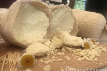 Anadolu peynirleri Kars'ta tanıtıldı
