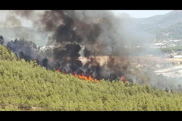 Fethiye'de yangın
