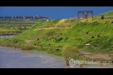 Diyarbakır'ın bin yıllık 10 gözlü köprüsü
