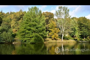 İstanbul'un müze parkı Atatürk Arboretumu