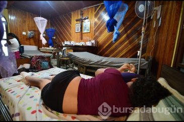 Honduras'ta Dang humması çok sayıda can aldı