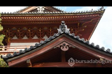 Japonya'da çay törenleriyle ünlü 800 yıllık tapınak