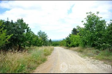Yoldan gelip geçenler sebze- meyve yesin diye 'Hayrat Bahçesi' yaptı