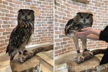 Günün en çok  paylaşılan fotoğrafları (06.08.2019)