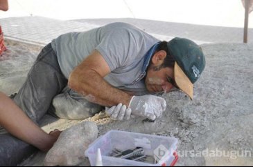 Nevşehir'de milyonlarca yıl öncesine ait birçok fosil ortaya çıktı