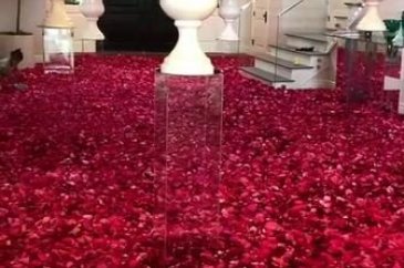 Kylie Jenner düşman çatlattı!
