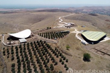 İngiliz milletvekilleri Göbeklitepe'ye hayran kaldı