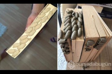 Kitaplarınızı en son ne zaman temizlediniz? Sizin kitaplığınızda da...