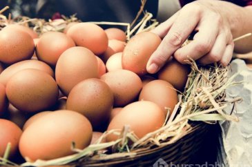 Hafızayı güçlendiren besinler! Mutlaka tüketin...
