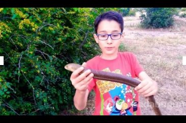 Hayvanlara fısıldayan çocuk sosyal medyanın gündeminde! Türk Steve ...