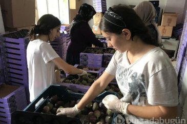 'Bursa'nın Kraliçesi' yüzleri güldürdü!
