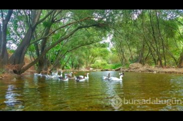 Bursa'nın eşsiz güzellikleri... Yerli ve yabancı turistlerin gözbeb...