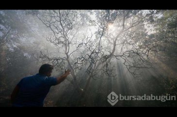Bakın neresi... Bu fotoğraflar bu hafta çekildi
