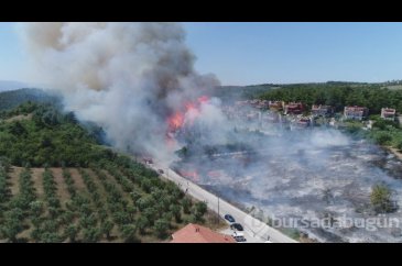 Bursa Mudanya'daki yanan ormanlık alanda yüzleri güldüren görüntü!
