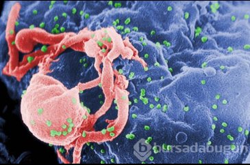 HIV virüsüne çare bulunmuş olabilir