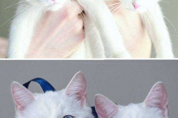Günün en çok paylaşılan fotoğrafları!