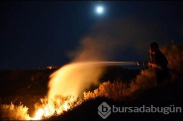 Bodrum'da dev yangın