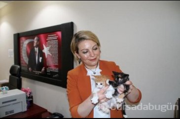Yardımsever müdüre ceza