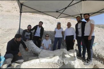 7,5 milyon yıllık fosil bulundu