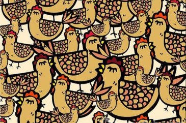 Tavukların arasındaki eldiveni görebiliyor musunuz?